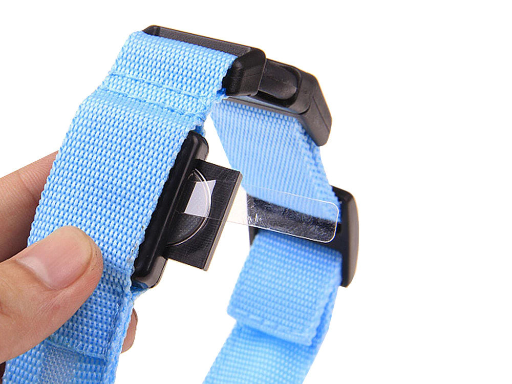 Collare per cani con luce LED – Taglia L (55 cm) – 3 modalità di illuminazione, nylon, fibbia e clip – Blu
