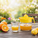 Presse-Agrumes en Verre Manuel 300 ml