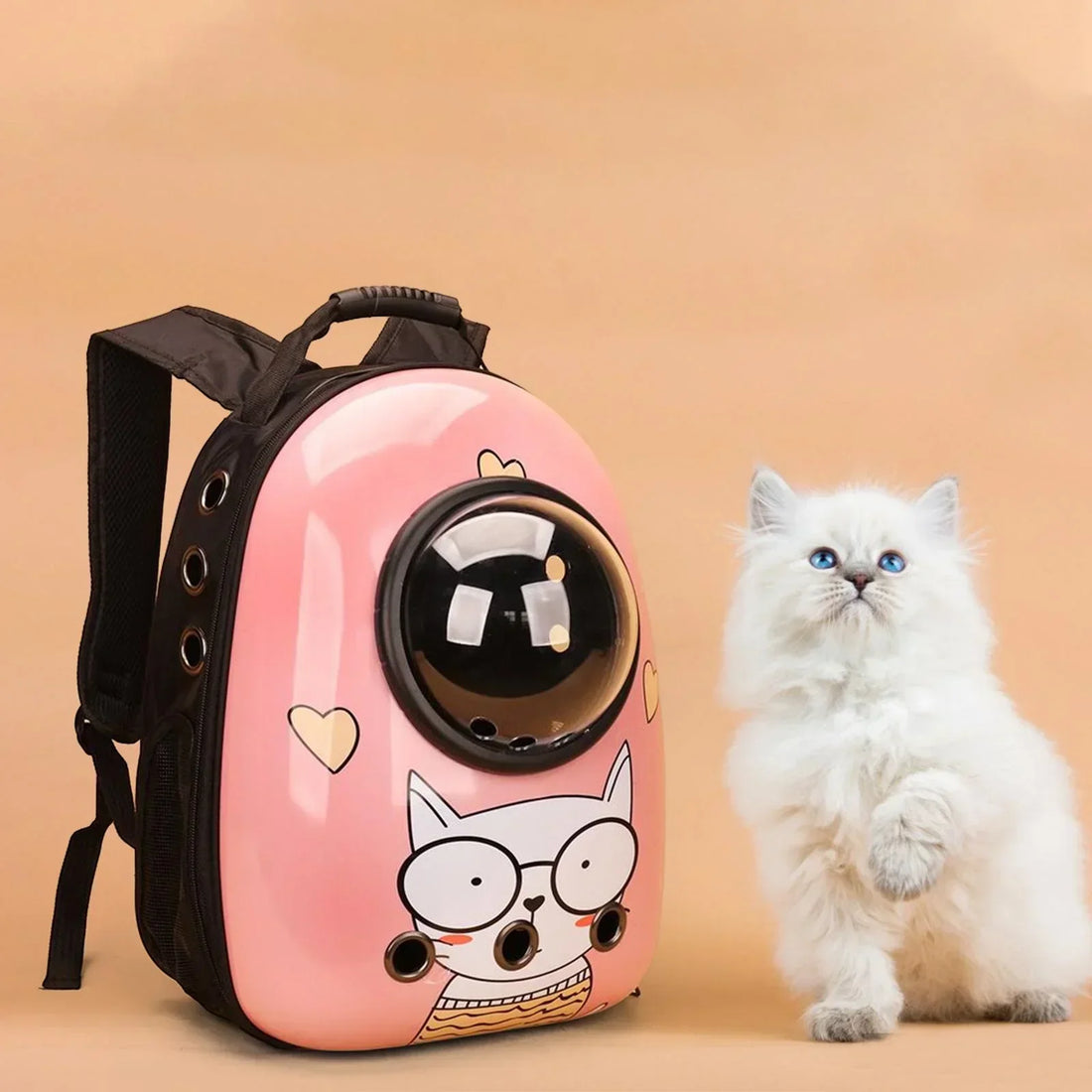 Sac de transport pour animaux : comment bien choisir pour voyager sereinement ?
