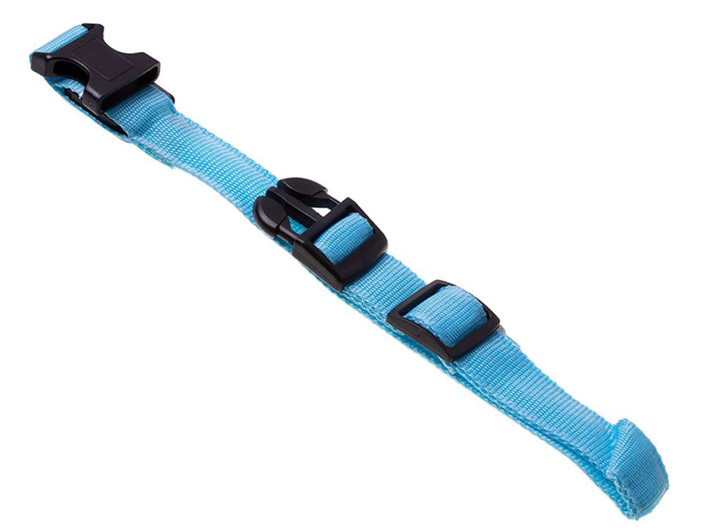 Collare per cani con luce LED – Taglia L (55 cm) – 3 modalità di illuminazione, nylon, fibbia e clip – Blu