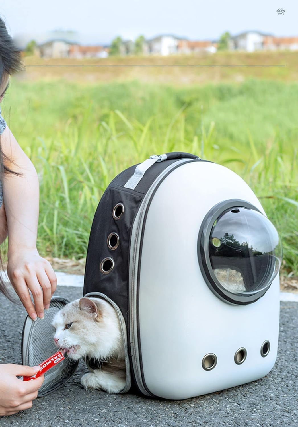 Sac à Dos de Transport pour Chat et Petit Chien