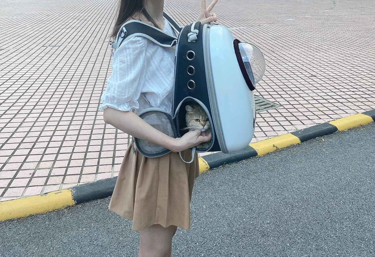 Sac à Dos de Transport pour Chat et Petit Chien