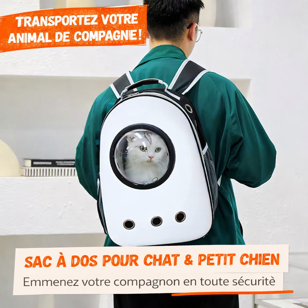 Sac à Dos de Transport pour Chat et Petit Chien