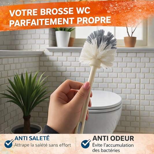 Brosse WC Classique