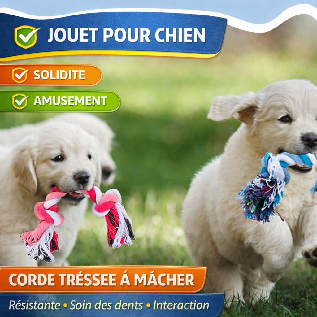Giocattolo in corda per cani – Resistente e sicuro – Ideale per masticare e giocare – Dimensioni 26 × 2 cm