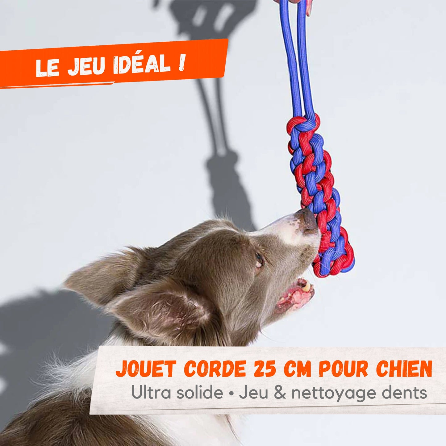 Jouet pour Chien en Corde Tressée 25 cm