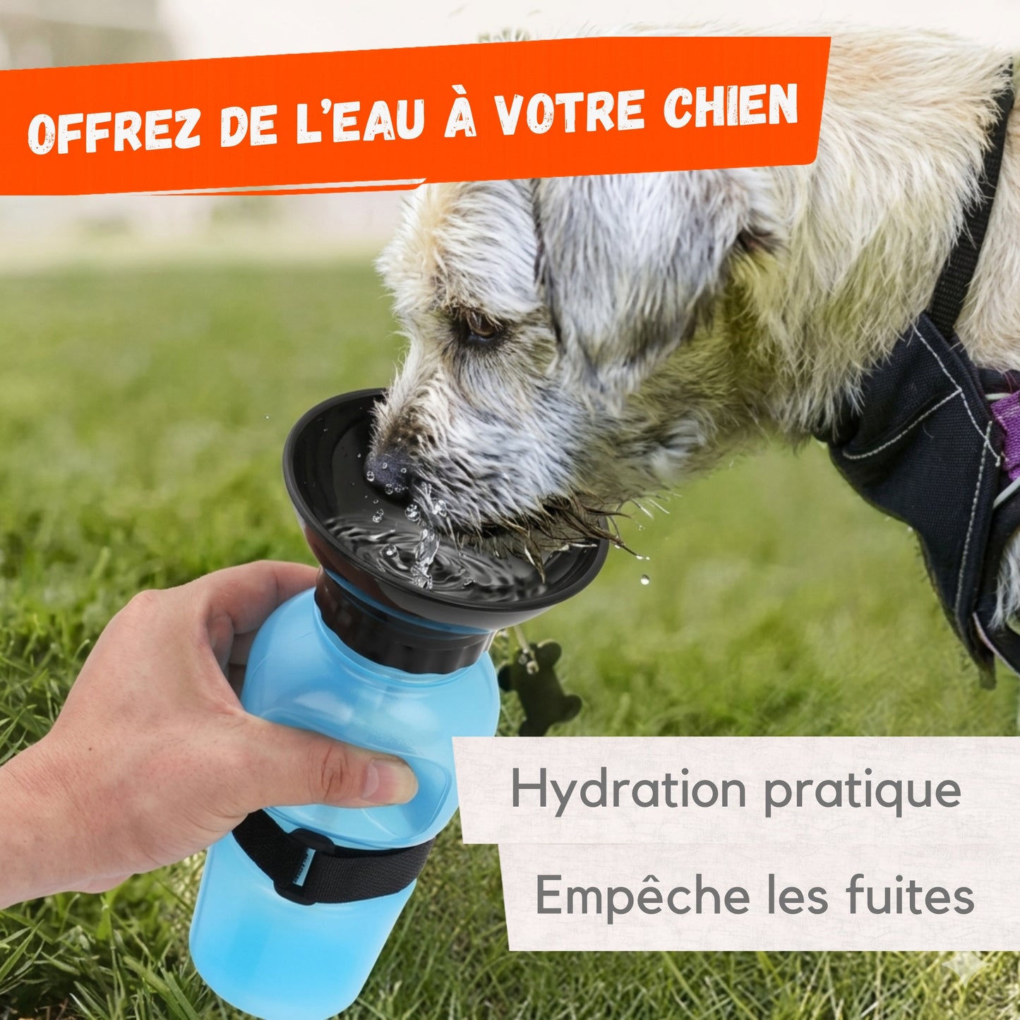 Borraccia da viaggio per cani con ciotola integrata - Borraccia da 500 ml - Facile da trasportare, colore casuale
