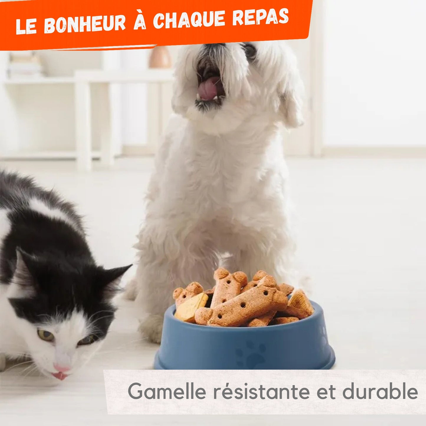 Ciotola rotonda per animali domestici – Ciotola classica per acqua o cibo con base antiscivolo – Plastica senza BPA