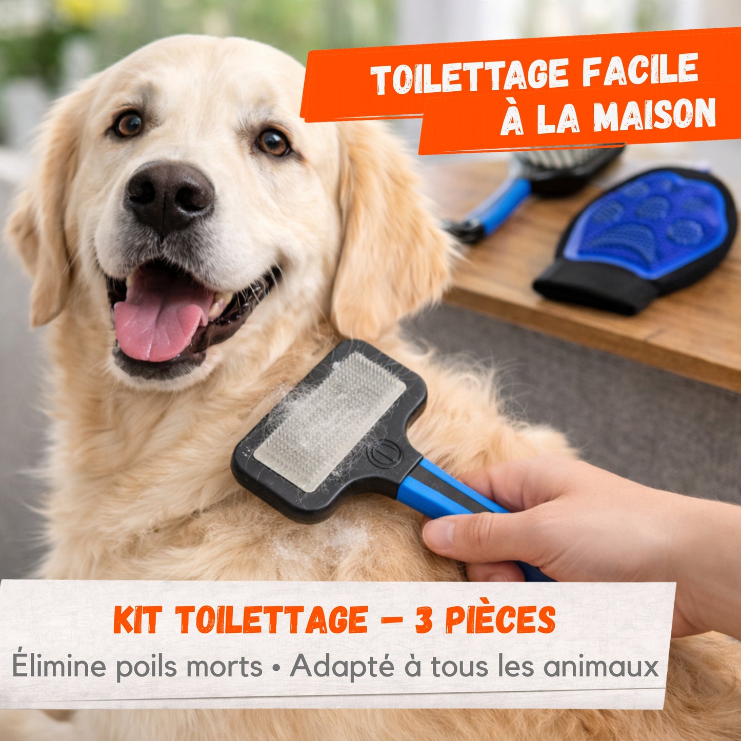 Kit Toilettage Chien & Chat – 3 Pièces