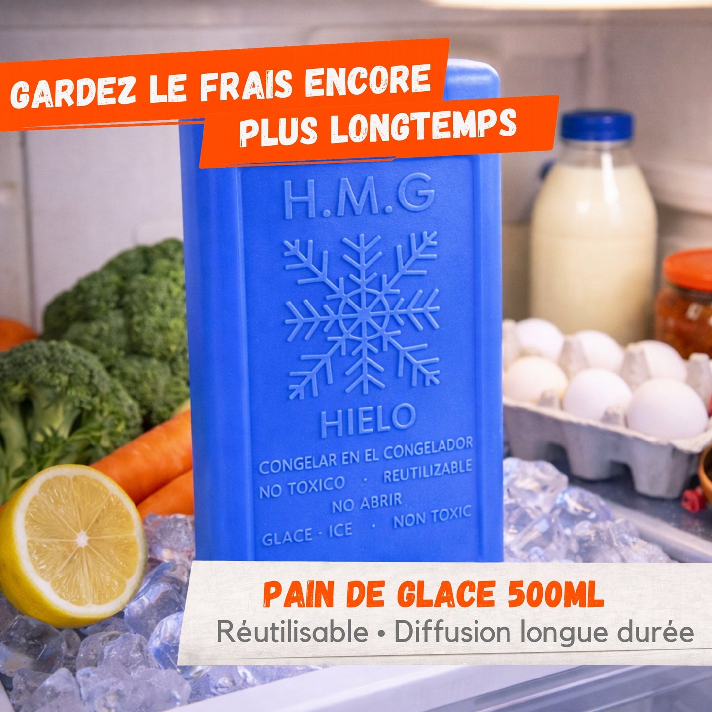 Pain de Glace Réutilisable 500ml