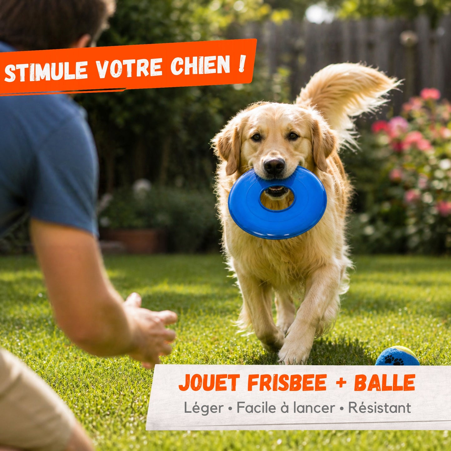 Jouet Chien Frisbee + Balle – Jeu Lancer Rapporter – Couleur Aléatoire
