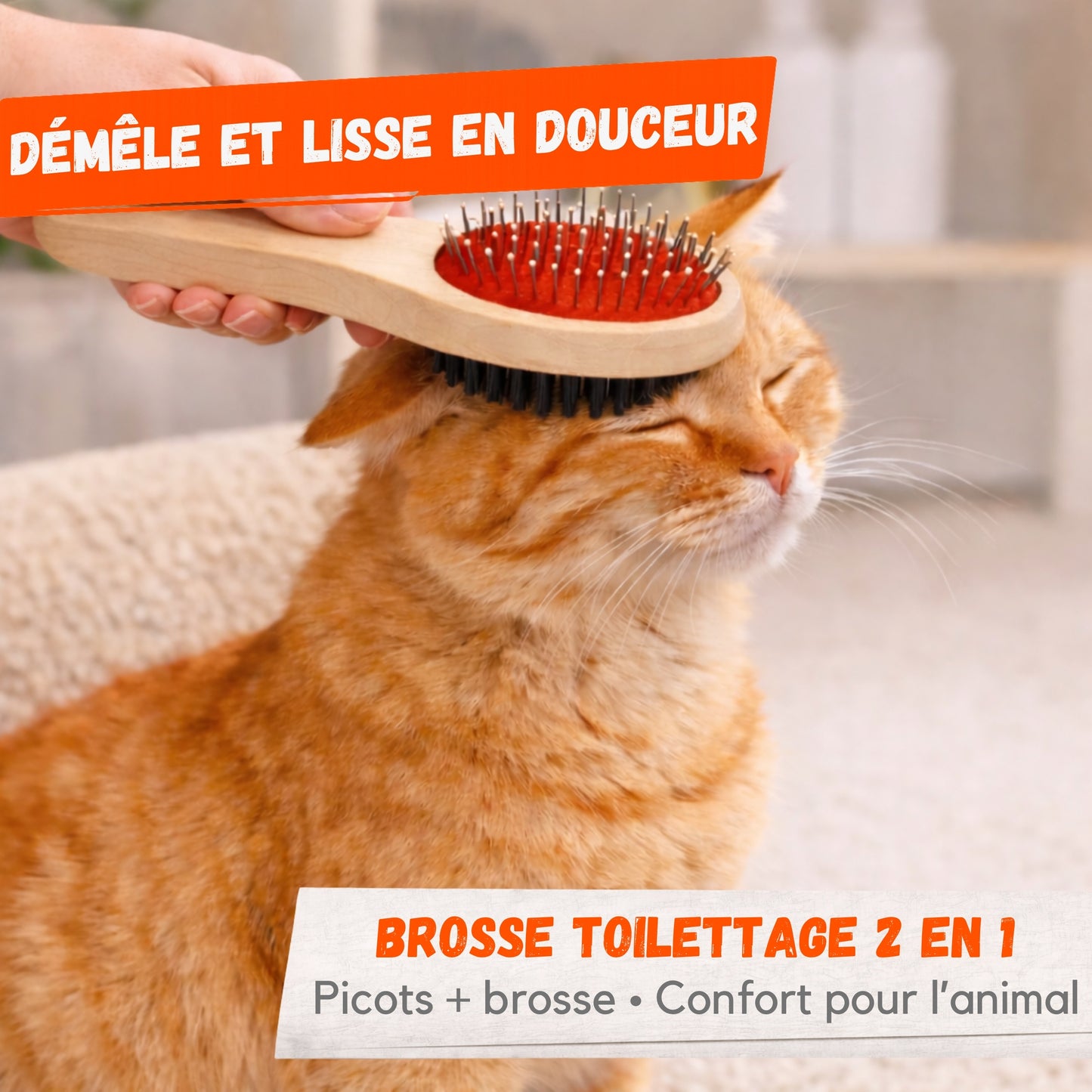 Brosse Toilettage Chien Chat – 2 en 1 Démêlante et Lissante