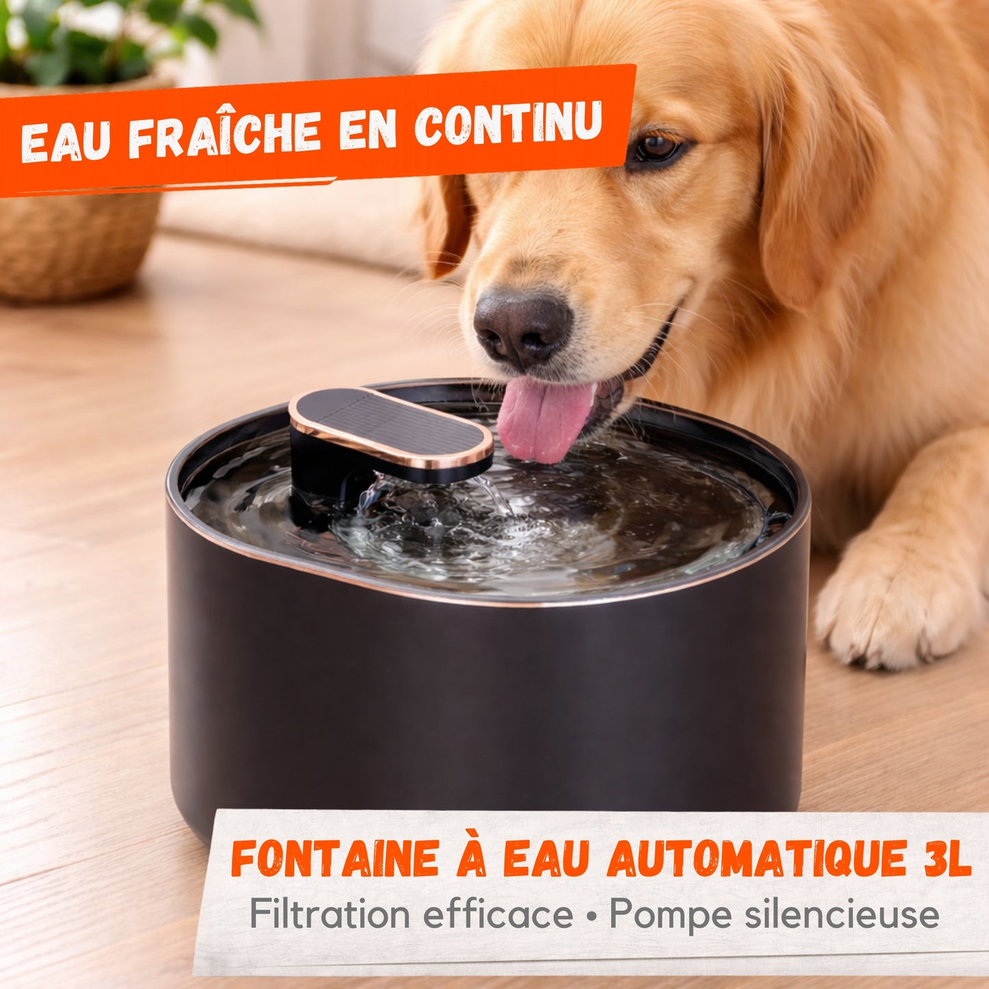 Fontaine à Eau Automatique 3L pour Chat et Chien – Silencieuse avec Filtre