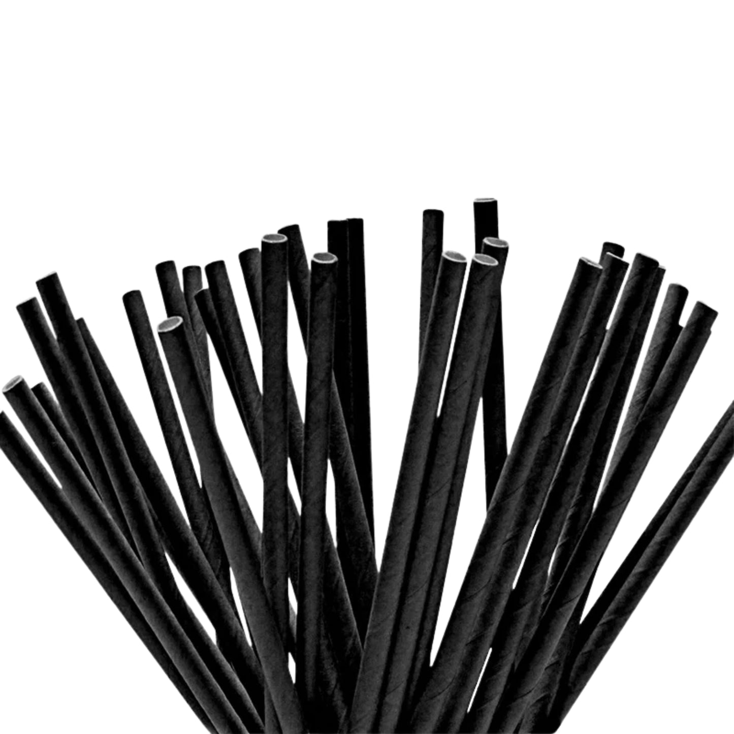 Lot de 25 Pailles en Carton 20 cm – Couleur Aléatoire