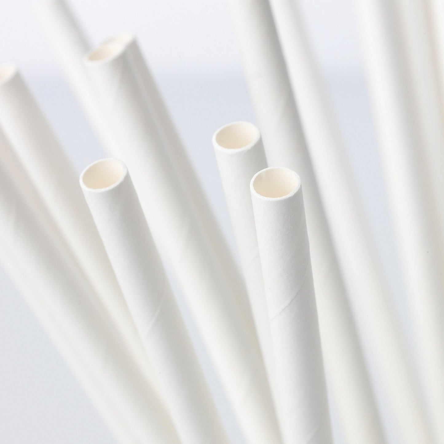 Lot de 25 Pailles en Carton 20 cm – Couleur Aléatoire