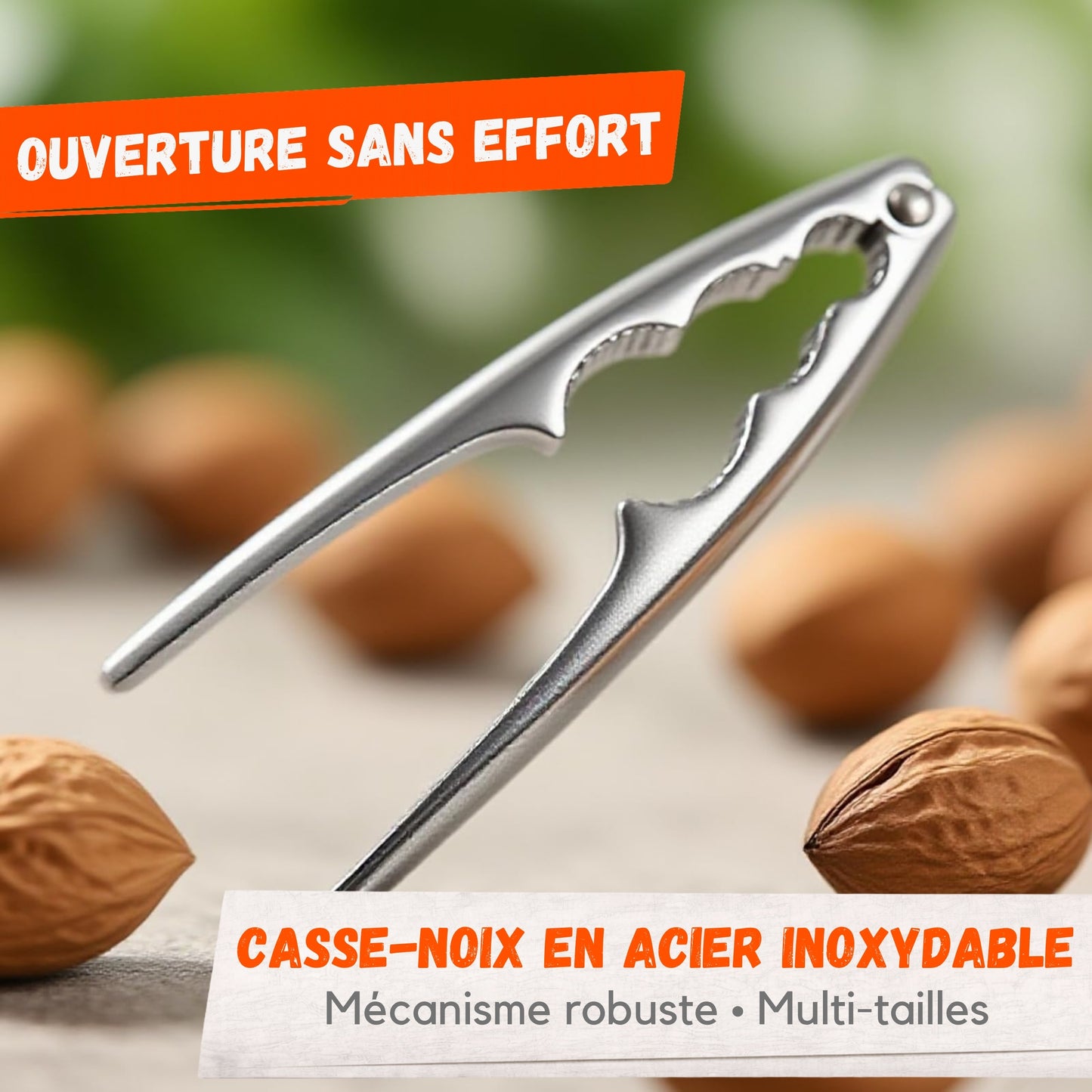 Casse-Noix en Acier Inoxydable – Ouvre Noix Universel
