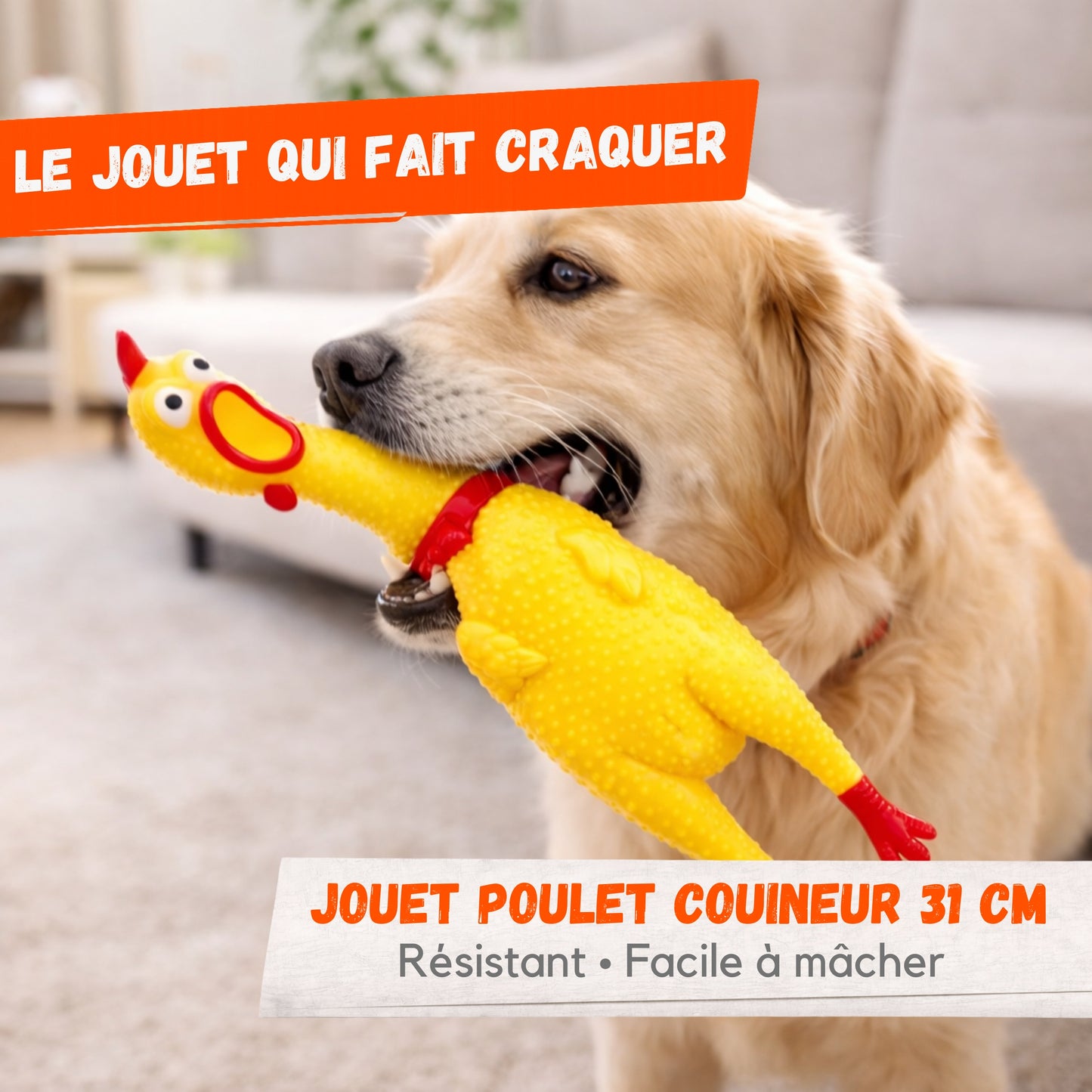 Jouet Chien Poulet Couineur 31 cm