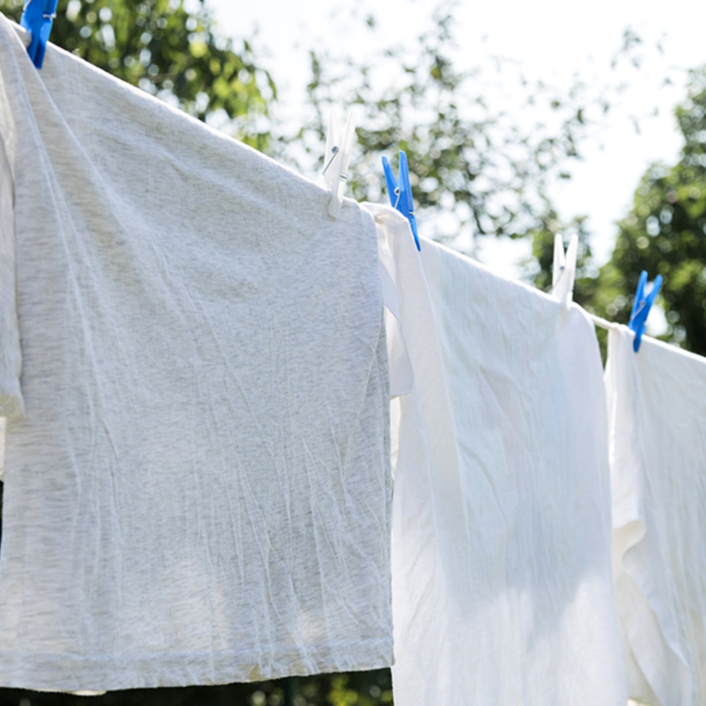 Lot de 40 Pinces à Linge en Plastique – 7 x 1 cm