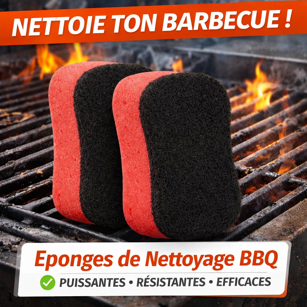 Lot de 2 Éponges de Nettoyage Spécial Barbecue et Four