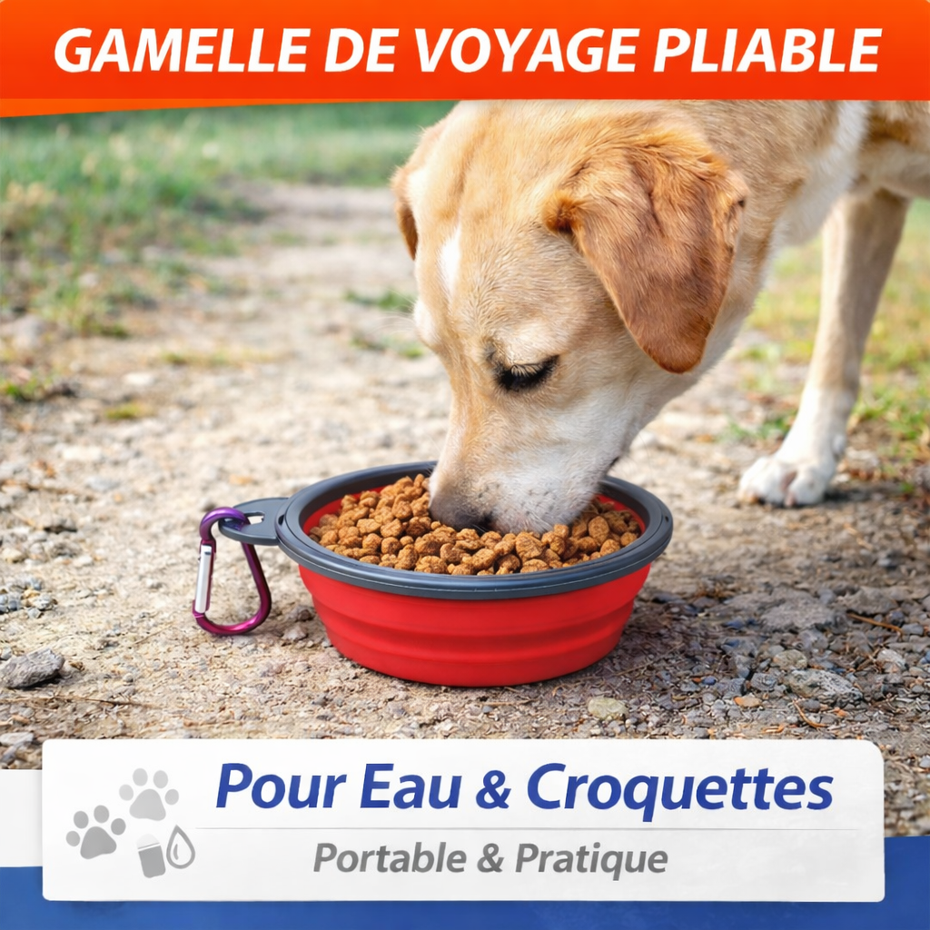 Ciotola da viaggio pieghevole in silicone – Ciotola da trasporto leggera per cani e gatti con gancio – 350 ml, colore casuale